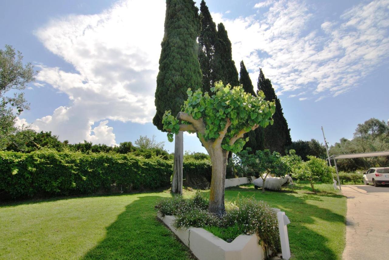 Cypress Garden Villas Svoronata Eksteriør billede